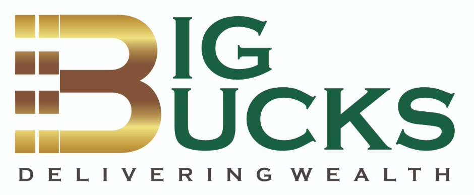 Big Bucks — Leading Real Estate Channel Partner Mandate Delhi-NCR